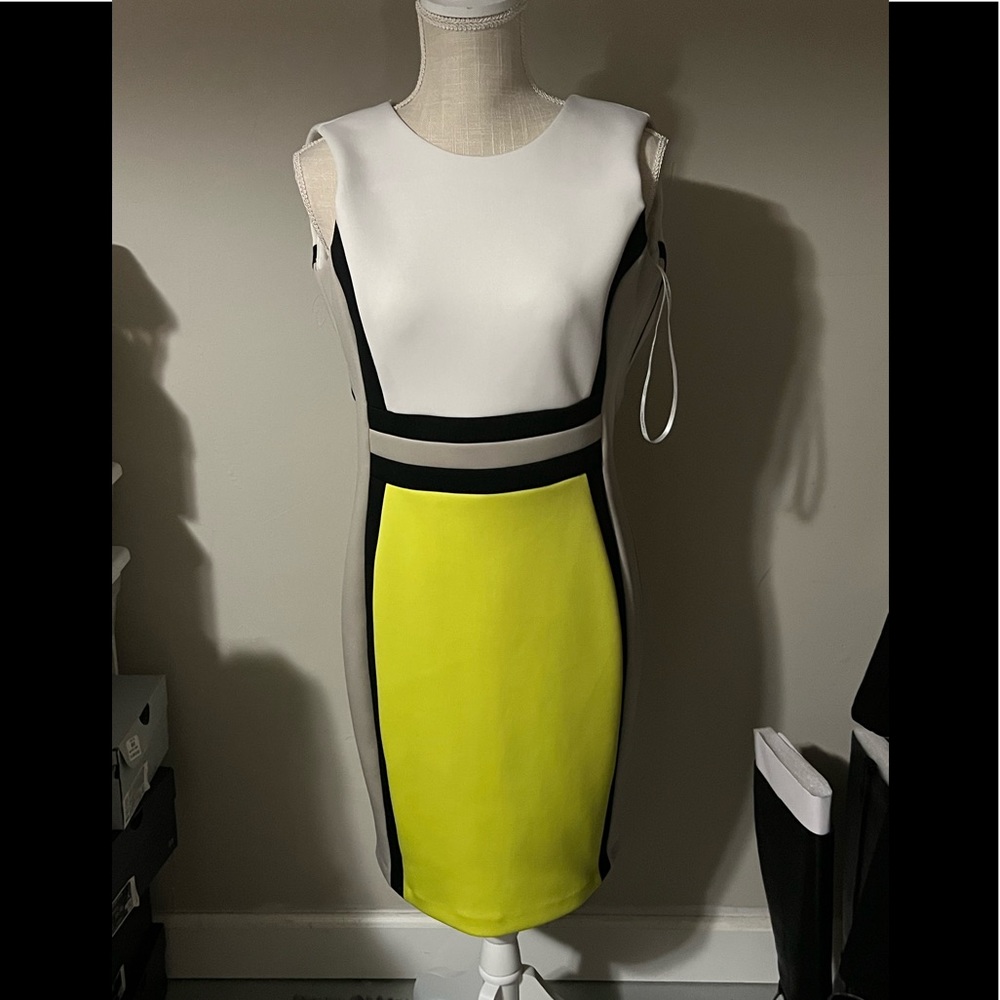 Professional CK dress!